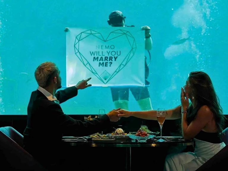 مطعم وصالة نيمو – شارع التسوق